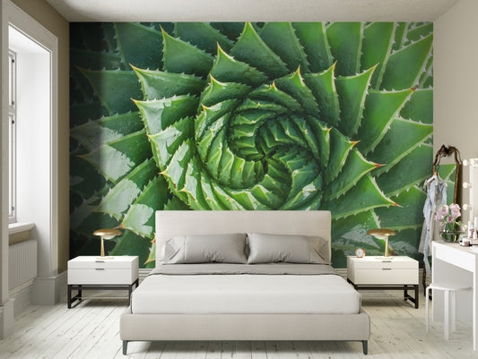 Spiral Aloe Plant Mural